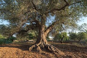 Trullo del Falegname Ostuni by Typney