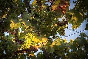 Trullo del Falegname Ostuni by Typney