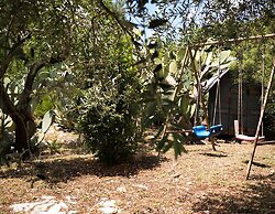Trullo Paan Pascarosa Ostuni by Typney