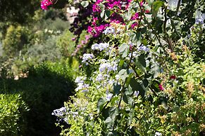 Relais Patriarca by Typney