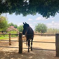 Agroturismo Finca Sant Blai