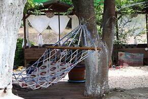 Olympos Alaturka Pansiyon