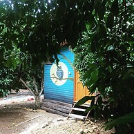 Olympos Alaturka Pansiyon