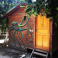 Olympos Alaturka Pansiyon