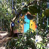 Olympos Alaturka Pansiyon