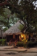 Turtle Inn by Francis Ford Coppola