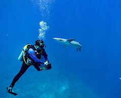 Turtle Inn by Francis Ford Coppola