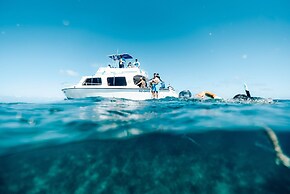 Turtle Inn by Francis Ford Coppola