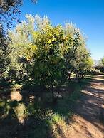 Koom A Farm And A Retreat Center