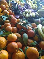 Koom A Farm And A Retreat Center