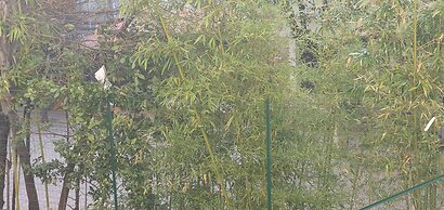 Il Giglio Guest House