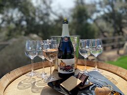 Carter Creek Winery Resort & Spa