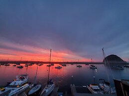Gray's Inn & Gallery
