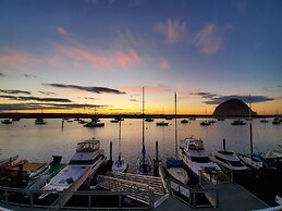 Gray's Inn & Gallery