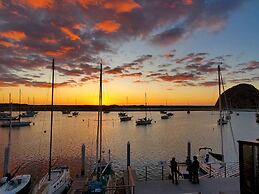 Gray's Inn & Gallery