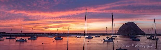 Gray's Inn & Gallery