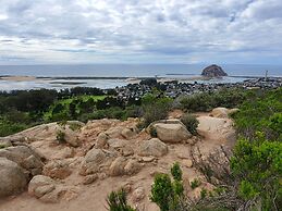 Gray's Inn & Gallery