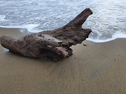 Blue Pavilion Beach Resort