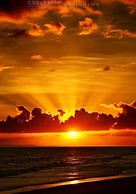 Blue Pavilion Beach Resort