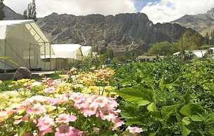 Apple Cottage Nubra - Glamping