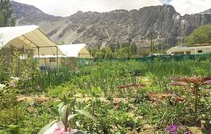Apple Cottage Nubra - Glamping