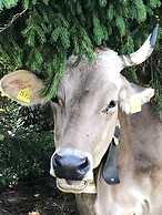 Hotel Oberdorfer Stuben