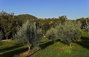 Apartments Villa Venera