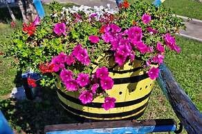 Apartments Villa Venera