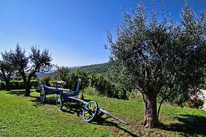 Apartments Villa Venera