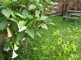 Green Village Apartments