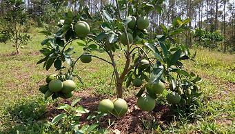 Vu Linh Farmstay - Hostel