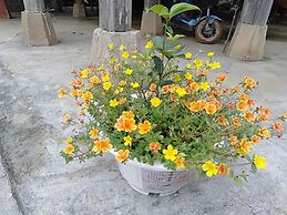 Vu Linh Farmstay - Hostel