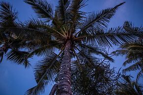 Turtle Cove Lodge and Yoga Shala