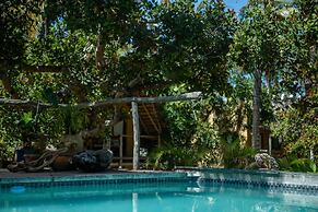 Turtle Cove Lodge and Yoga Shala