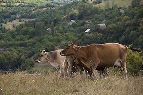 Concept Hotel by COAF