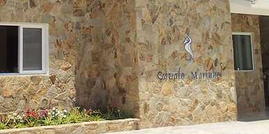 Cavalo Marinho Suites