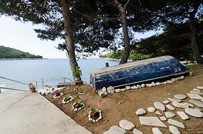 Apartments Franka Saplunara