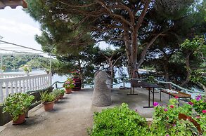 Apartments Franka Saplunara