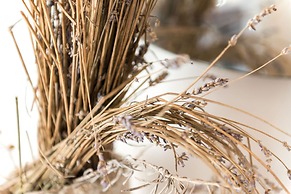 Rooms Lavanda & Ruzmarin