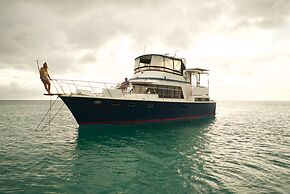 Caribbean Charter