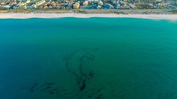 La Quinta Inn & Suites by Wyndham Miramar Beach-Destin