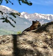 Spacious And Modern 2br Premier- The Pines- Kids Ski Free 2 Bedroom Co