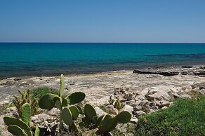 Cala Sol - Gelsomino