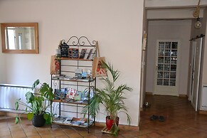 Le colibri bleu