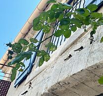 Le colibri bleu
