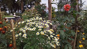 Flagship Piazza Hotel - Hostel