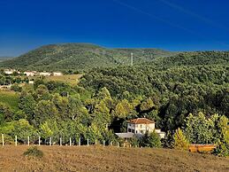 Pasha Boutique Apart Hotel