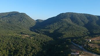 Pasha Boutique Apart Hotel