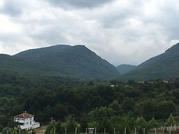 Pasha Boutique Apart Hotel