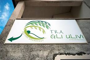 B&B Tra Gli Ulivi